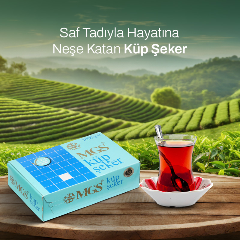 3mobil